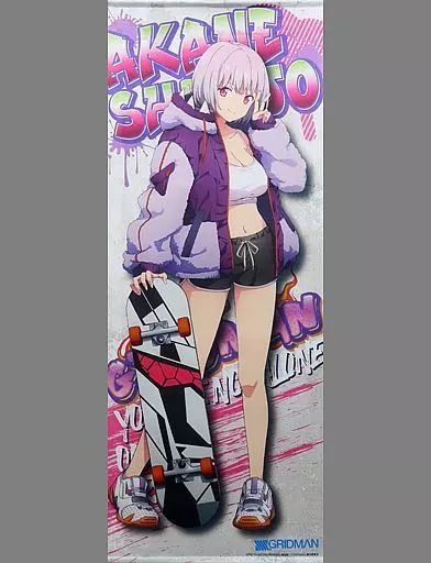 GRIDMAN 新条アカネ 等身大タペストリー スケボー　グリッドマン 限定 グリッドマン 新条アカネ 等身大タペストリー スケボー