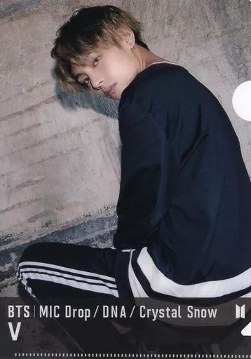 中古】クリアファイル(男性アイドル) [単品] ブイ(BTS/防弾少年団) A5
