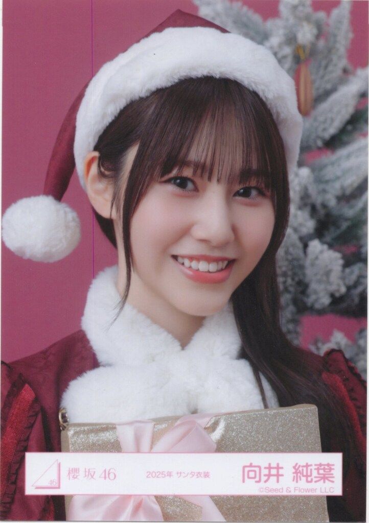 向井純葉 直筆サイン入り サンタ衣装2025 ヨリ 櫻坂46 生写真 2025年