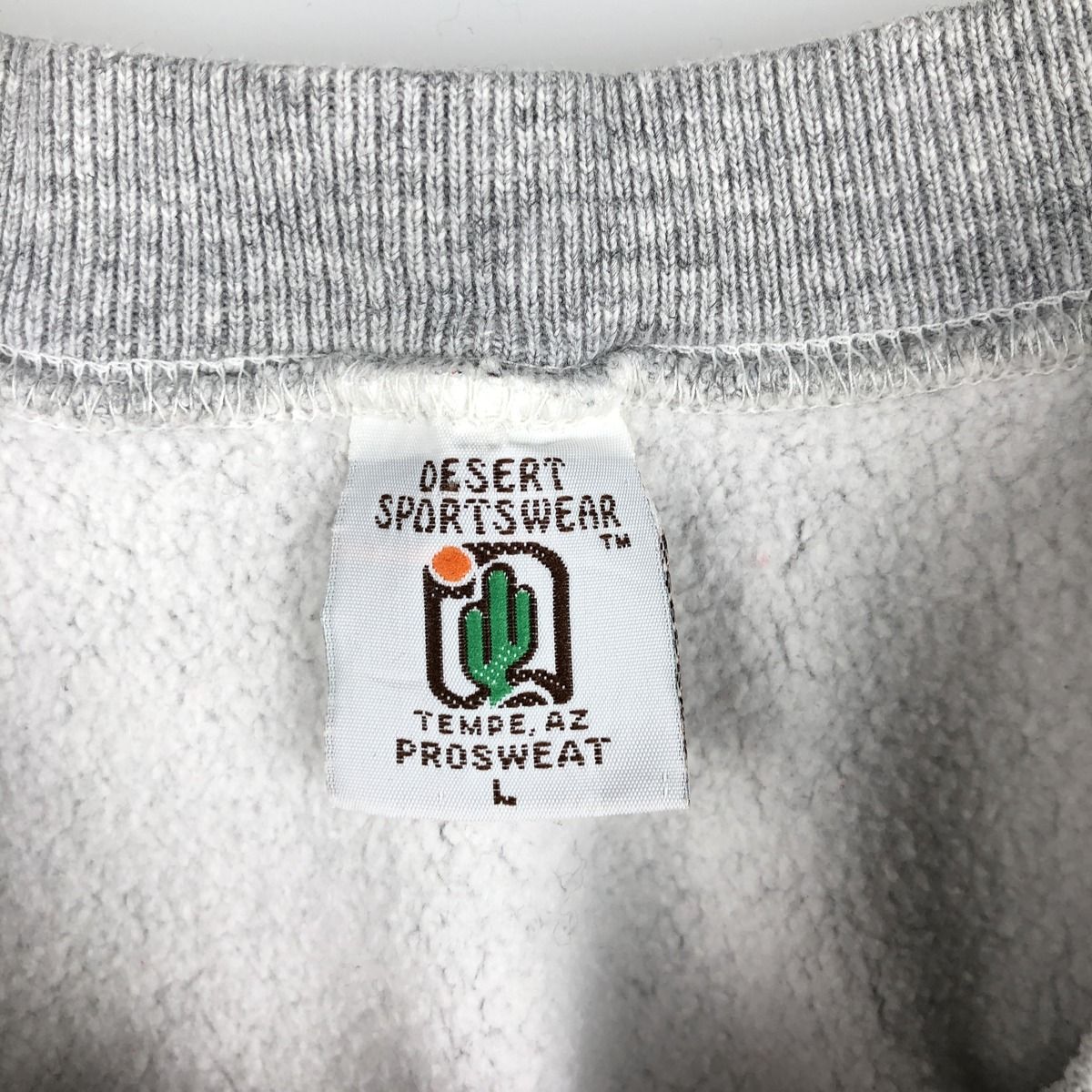 古着 90年代 DESERT SPORTSWEAR カレッジスウェットシャツ