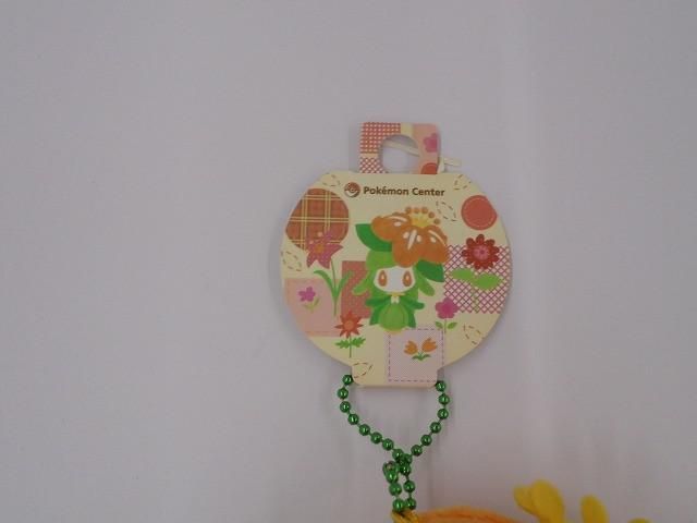 ポケモン ポケモンセンター