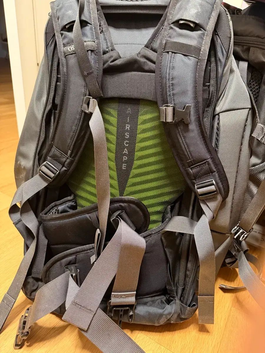  オスプレイ OSPREY 파포인트 55 L 旅行 登山 リュック バックパック グレー その他 アウトドアウェア小物