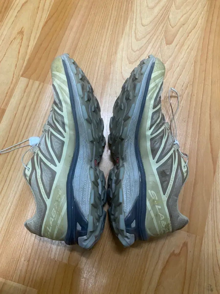 サファリ バニラ