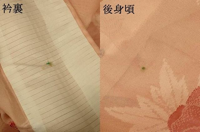 平和屋着物＊夏物　小紋　紗　草花文　未使用　AABE1394jd 平和屋着物＊夏物 小紋 紗 花唐草文 洗える着物 AABC9900jdの通販はau