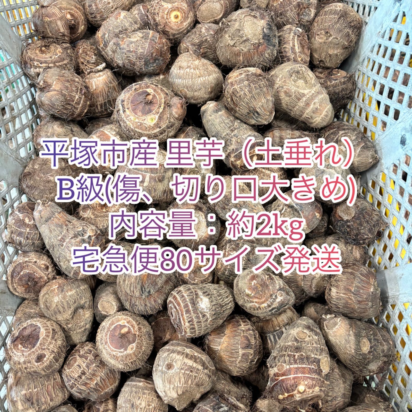 農家直送】平塚産 里芋（土垂れ）約2kg B級 - メルカリ