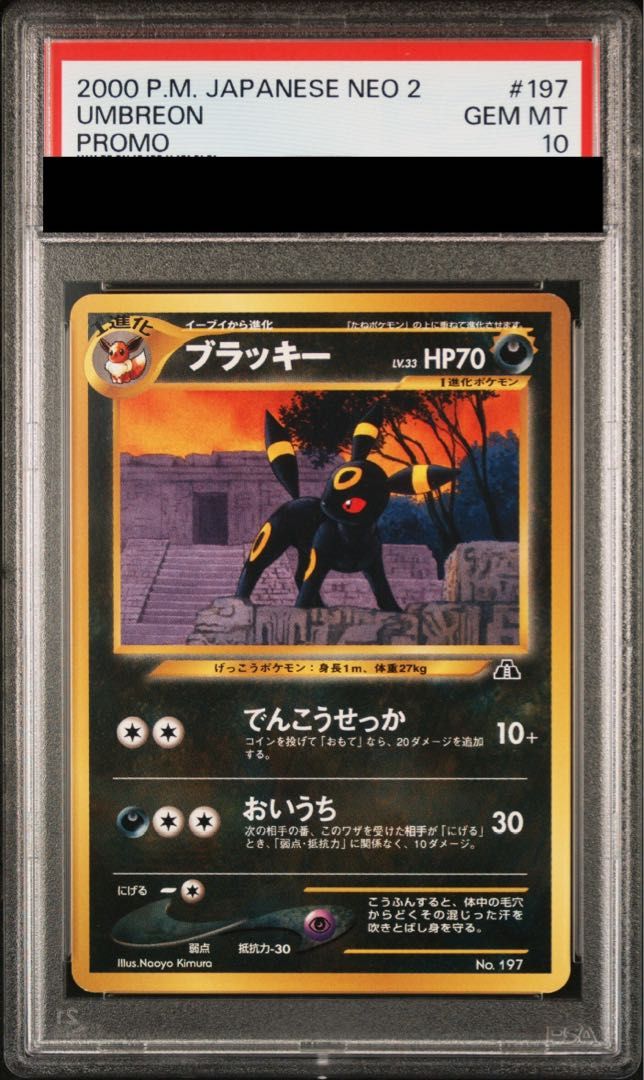 PSA 10 ブラッキー ムファイル 旧裏