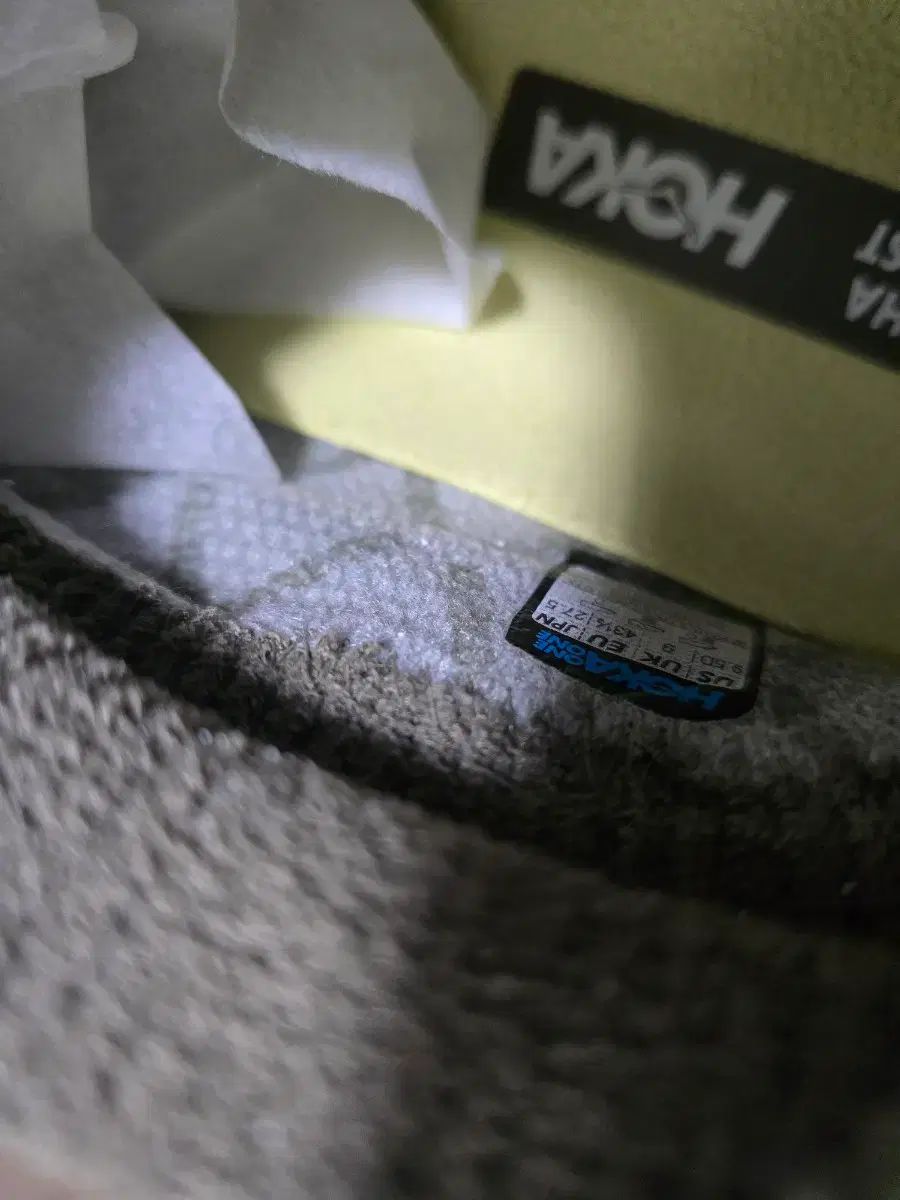 オリーブ グリーン