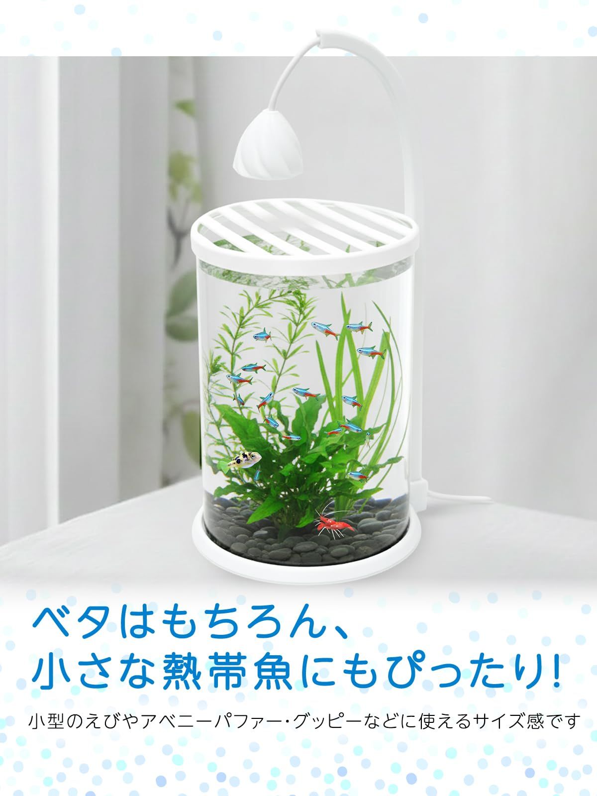 アクアリスト監修】 ベタ 水槽 ガラス製 （直径10cm×高さ15cm） LED