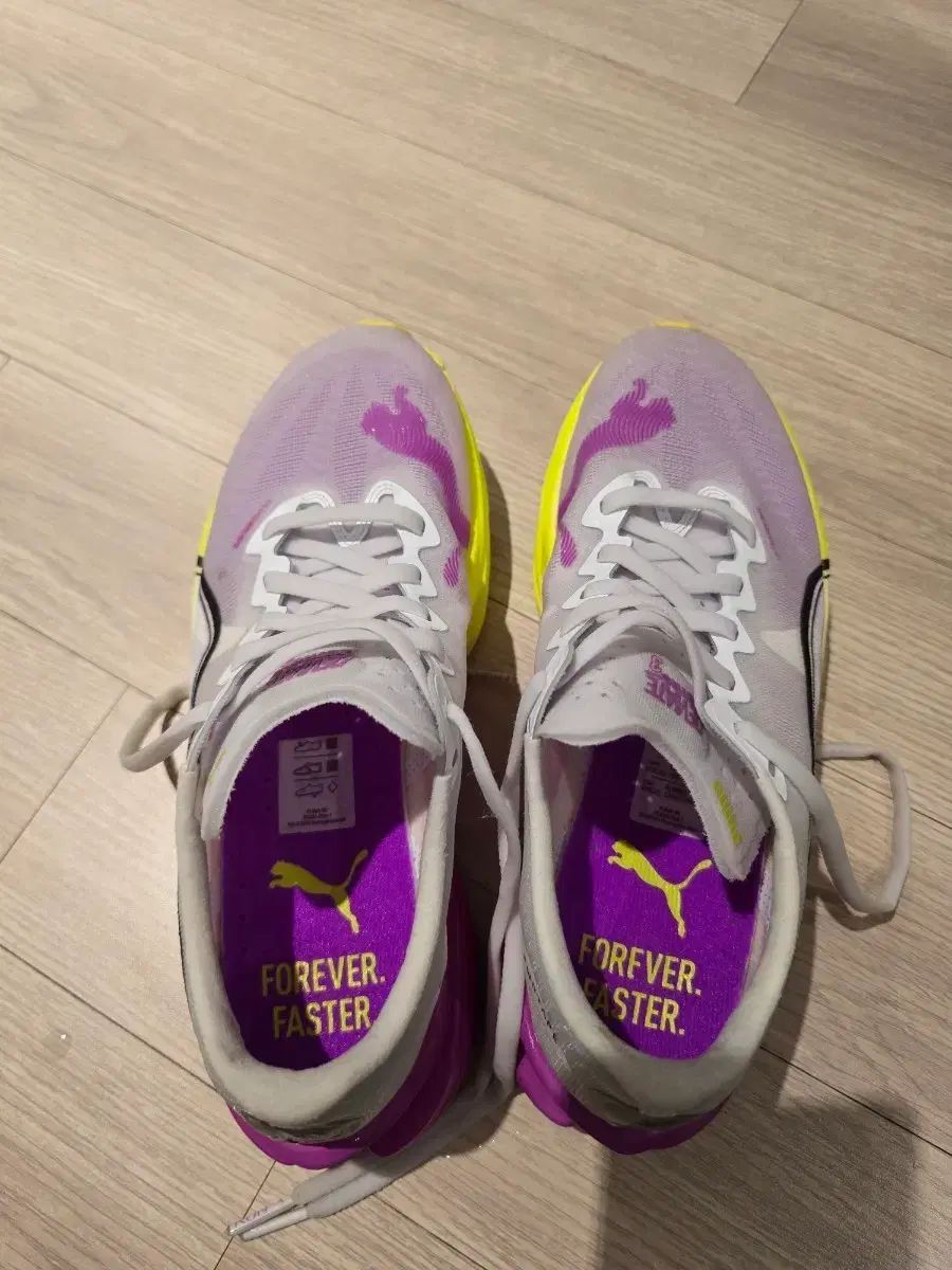 プーマ ディビエイト ナイトロ エリート3 レディース 240 mm