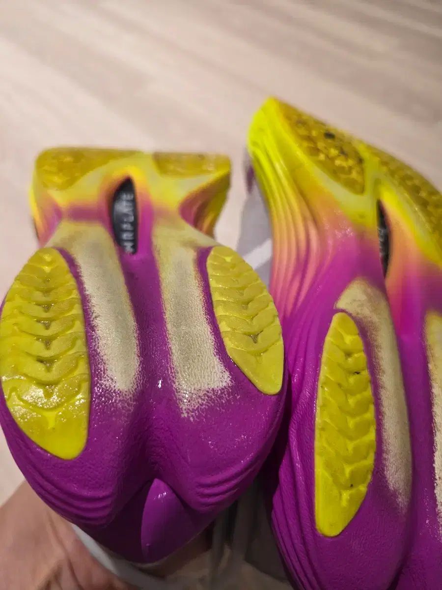 エリート3 レディース