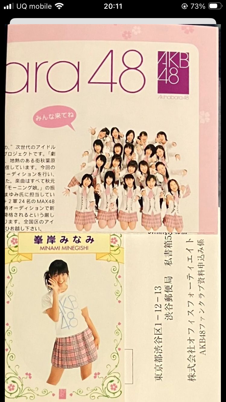 AKB48 桜の花びらたち スカート、ひらり 峯岸みなみver CD 新品未開封 AKB48 桜の花びらたち スカート、ひらり シングル CD 初回限定盤