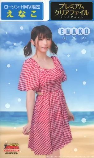 えなこローソン限定 プレミアムクリアファイル全2種 ヤングアニマル