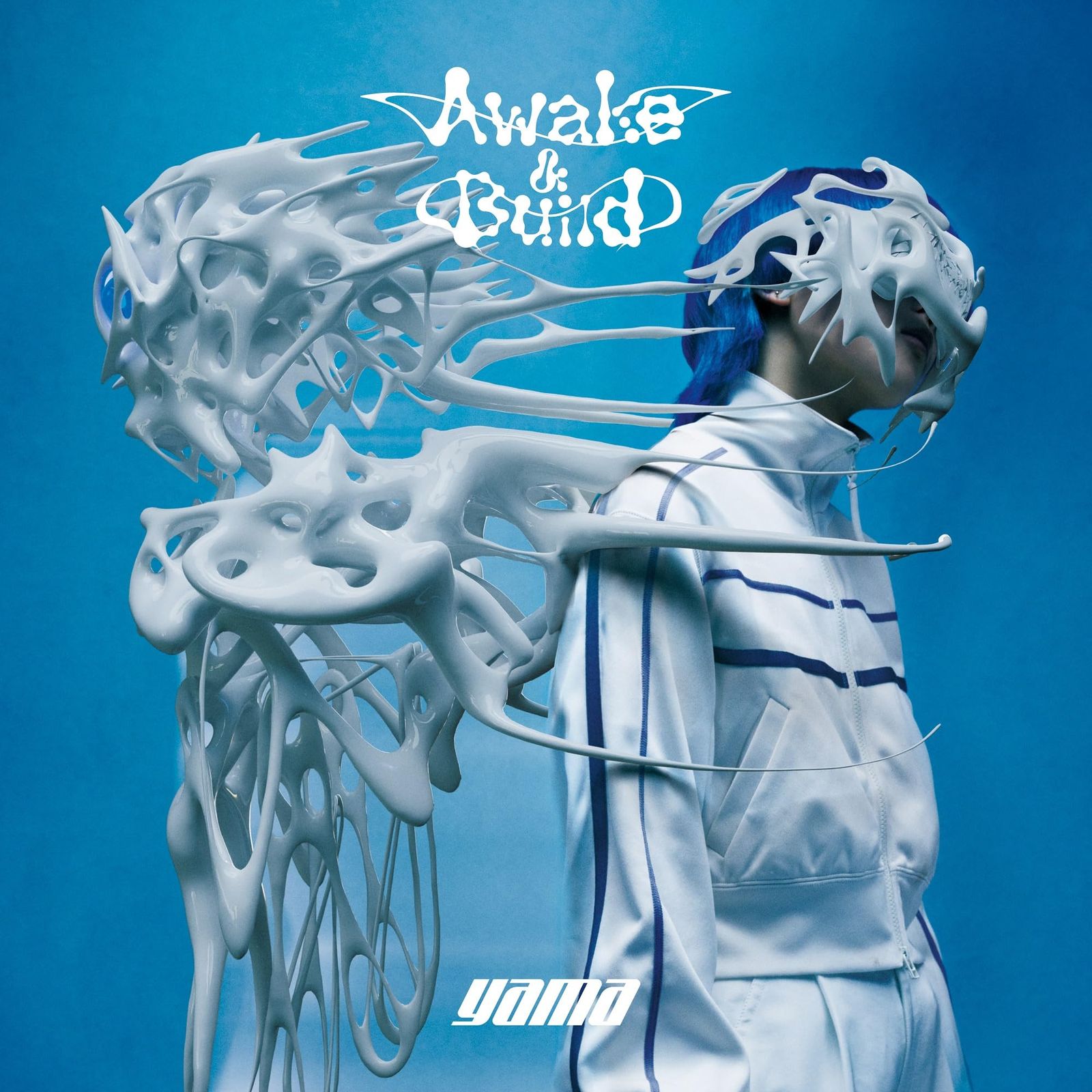 awake-build 初回生産 盤 - yama 品