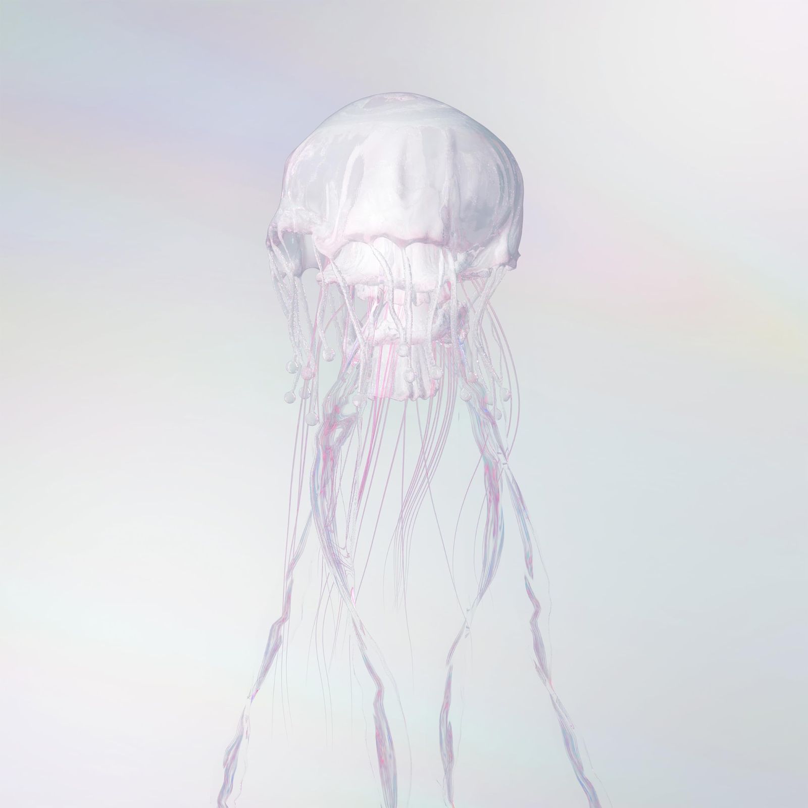 LUMINOUS初回限定盤B LUMINOUS初回限定盤B LUMINOUS（初回限定盤A） – SCANDAL Official Website