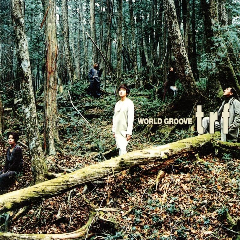 WORLD GROOVE アナログ 12インチ 組 初回生産 - TRF Analog 品