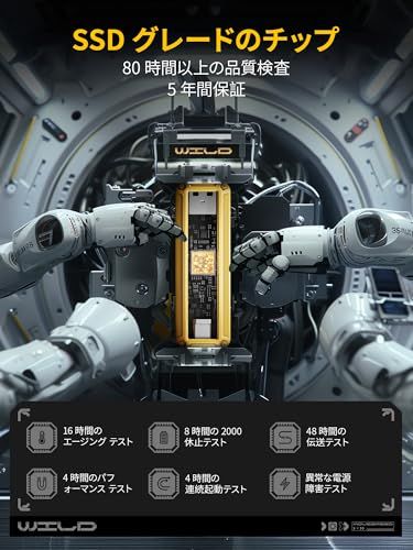 MOVE SPEED SSD 外付け スティック型 最大読込速度1000 MB|秒 USB 3.2 Gen 2 Type-C対応 USBメモリ 金属筐体 Win|MacBook PS 5 iPhone 15シリーズ対応 小型 ポータブルssd フラッシュド