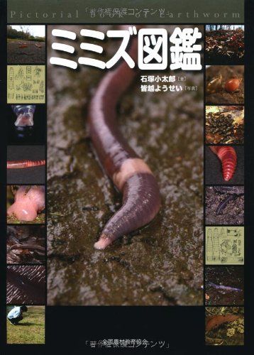 ミミズ図鑑 - メルカリ
