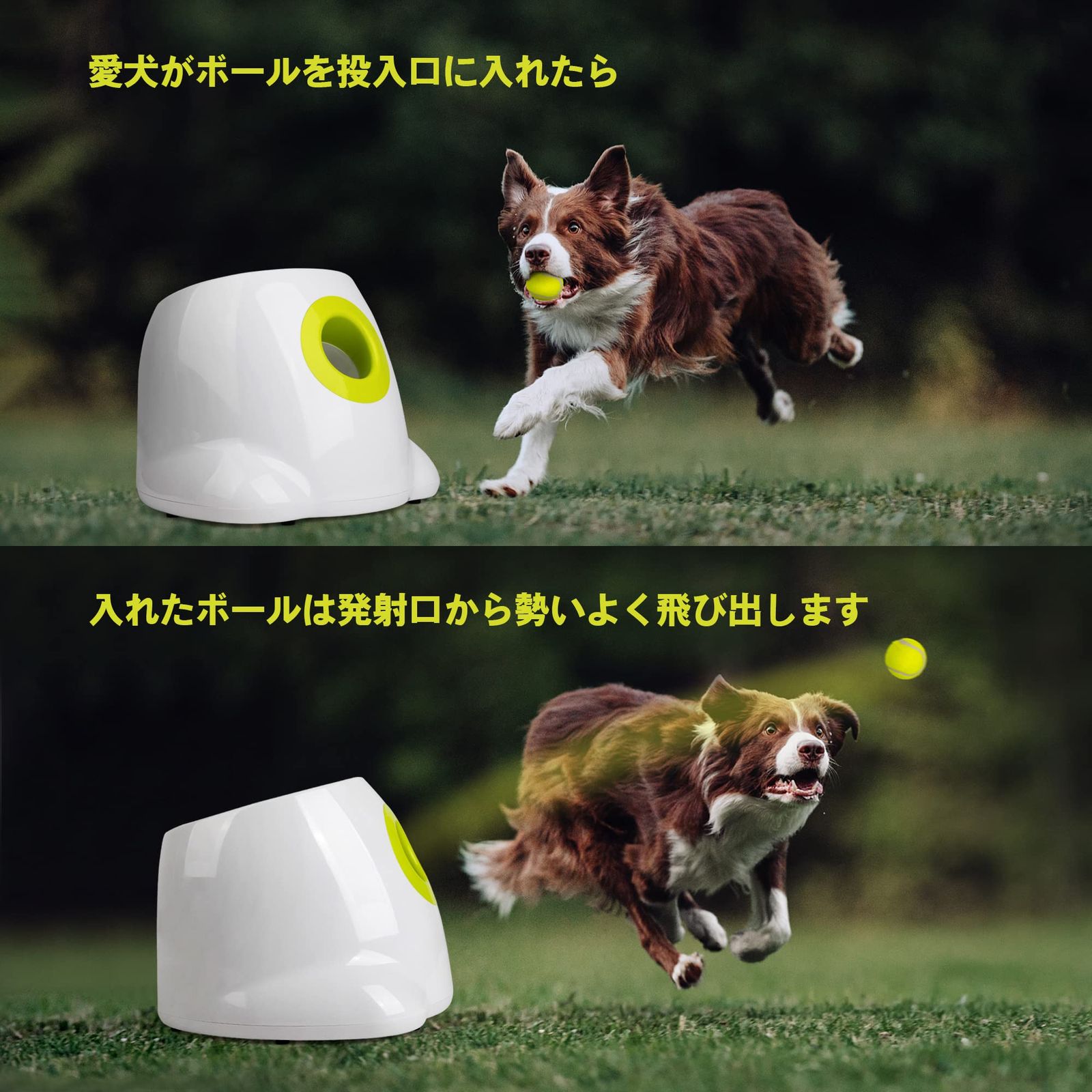 All For Paws 犬 ボールランチャー おもちゃ 自動 ボール投げ 犬用 ロボピッチャ 発射距離3段階調整 自動ボールキャッチ のミニテニスボール 付 小型犬~中型犬用 知育玩具