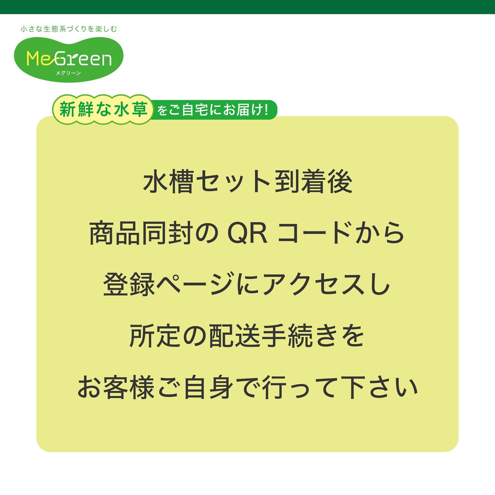 新鮮な水草付き グラスアクアティアーセット
