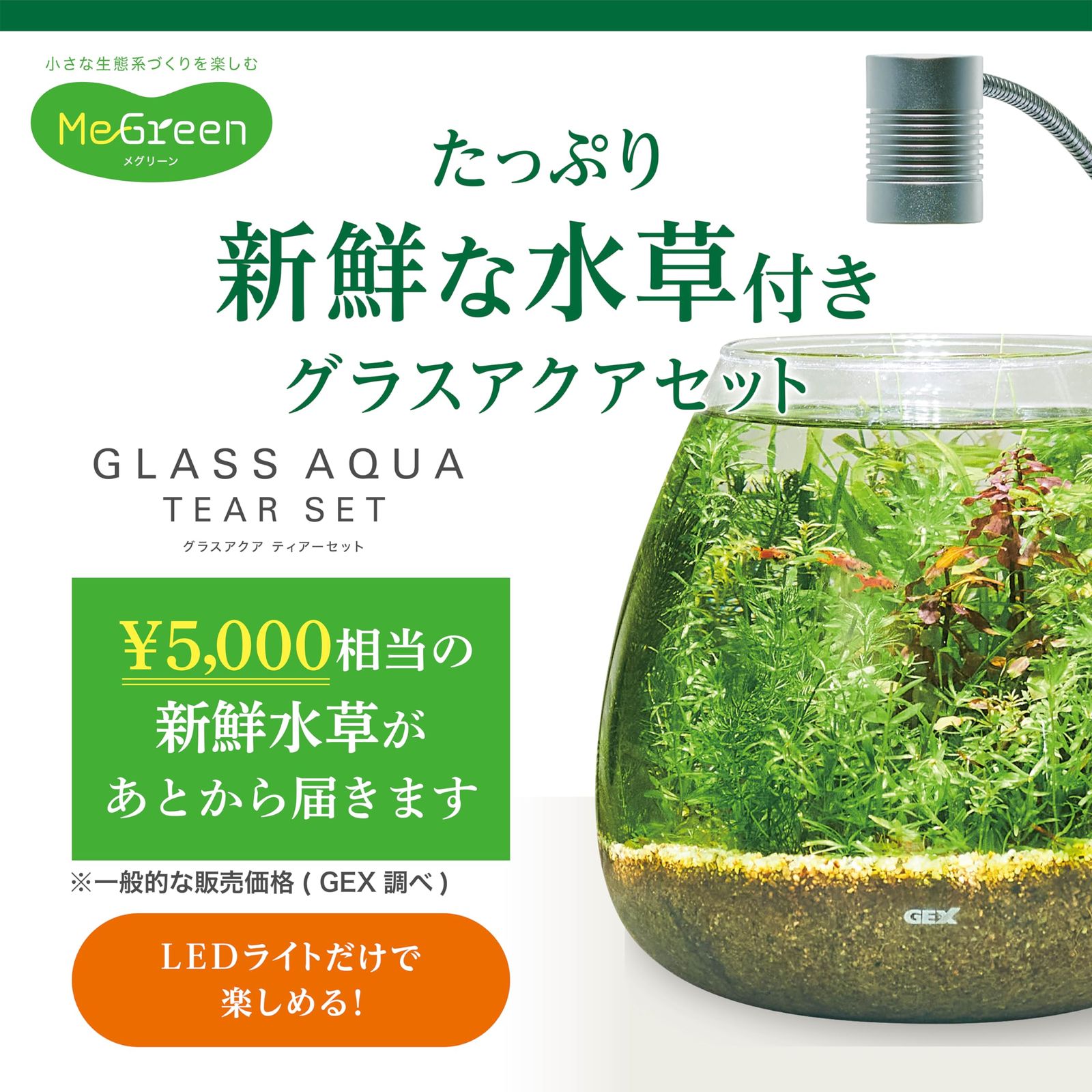 ジェックス MeGreen 新鮮な水草付き グラスアクアティアーセット