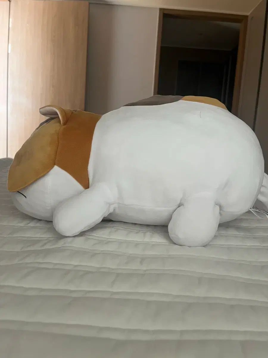 ハイキュー 研磨