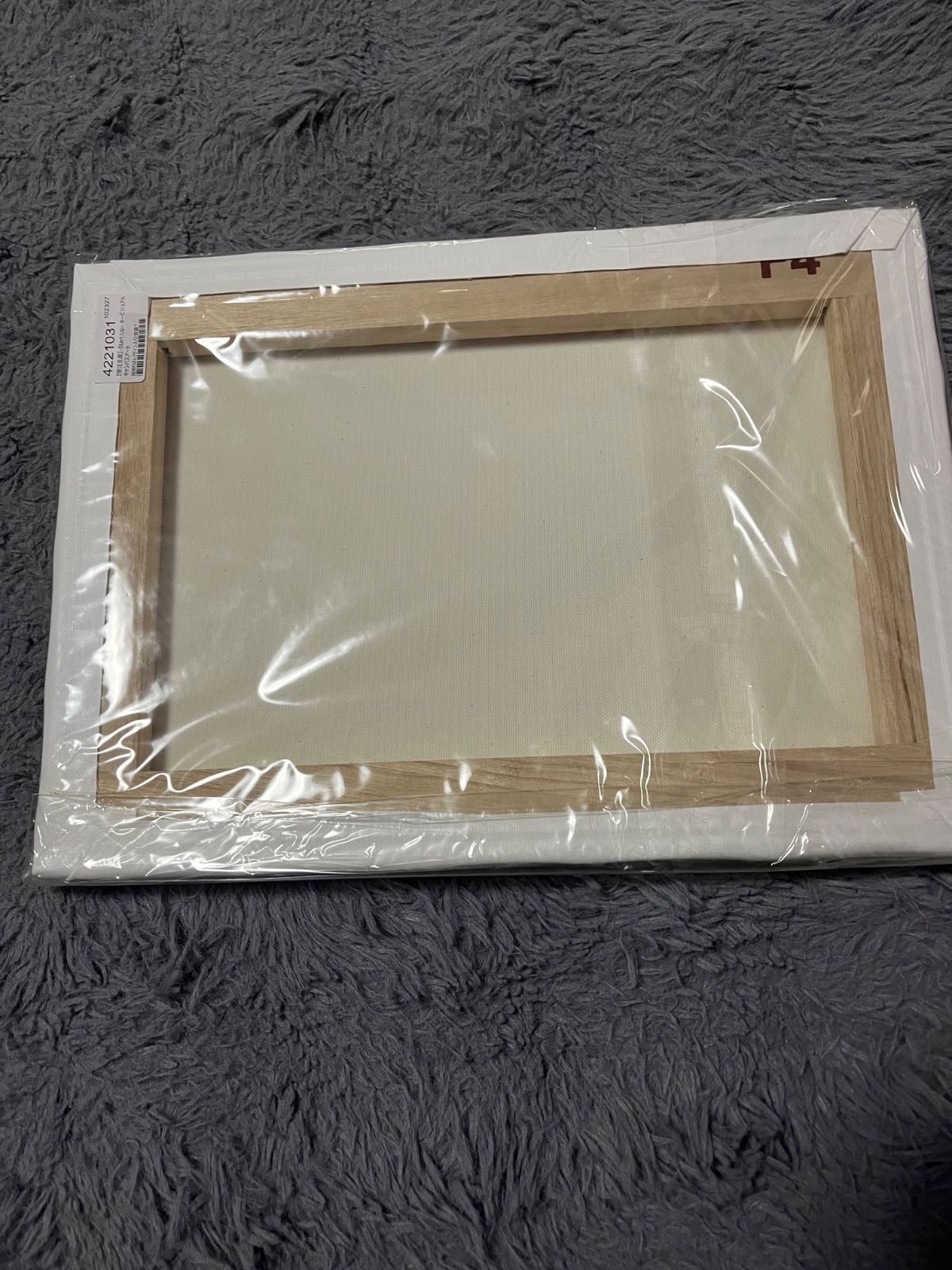 Re Act キービジュアル キャンバスアート 直接サイン入り 姫熊りのん