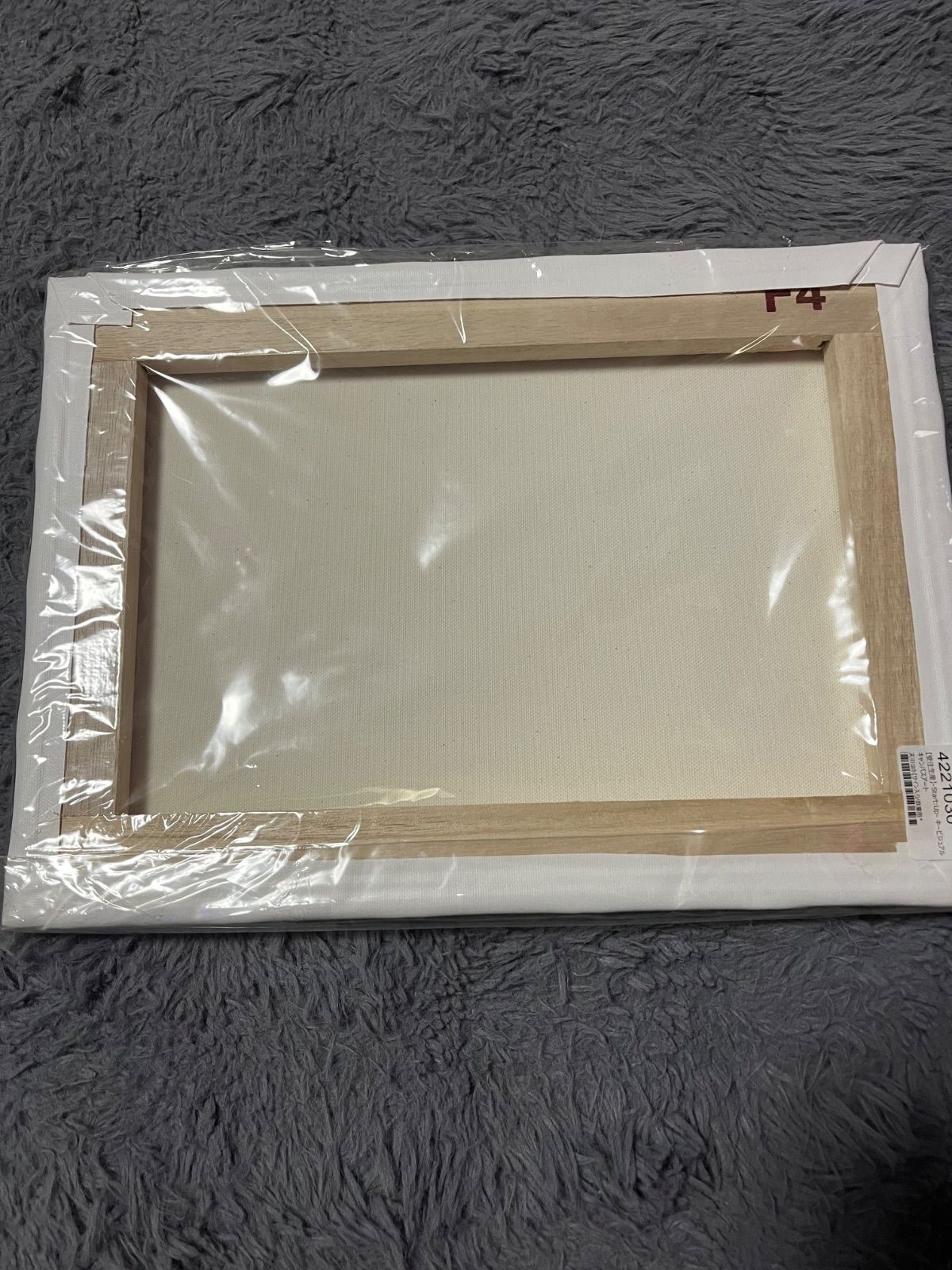 Re Act キービジュアル キャンバスアート 直接サイン入り 天川はの