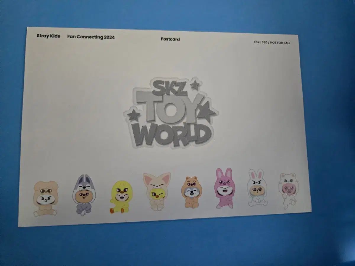 Stray Kids ストレイキッズ スキズ SKZ トイWORLD ファンミーティング DVD 通常版 女優グッズ その他 