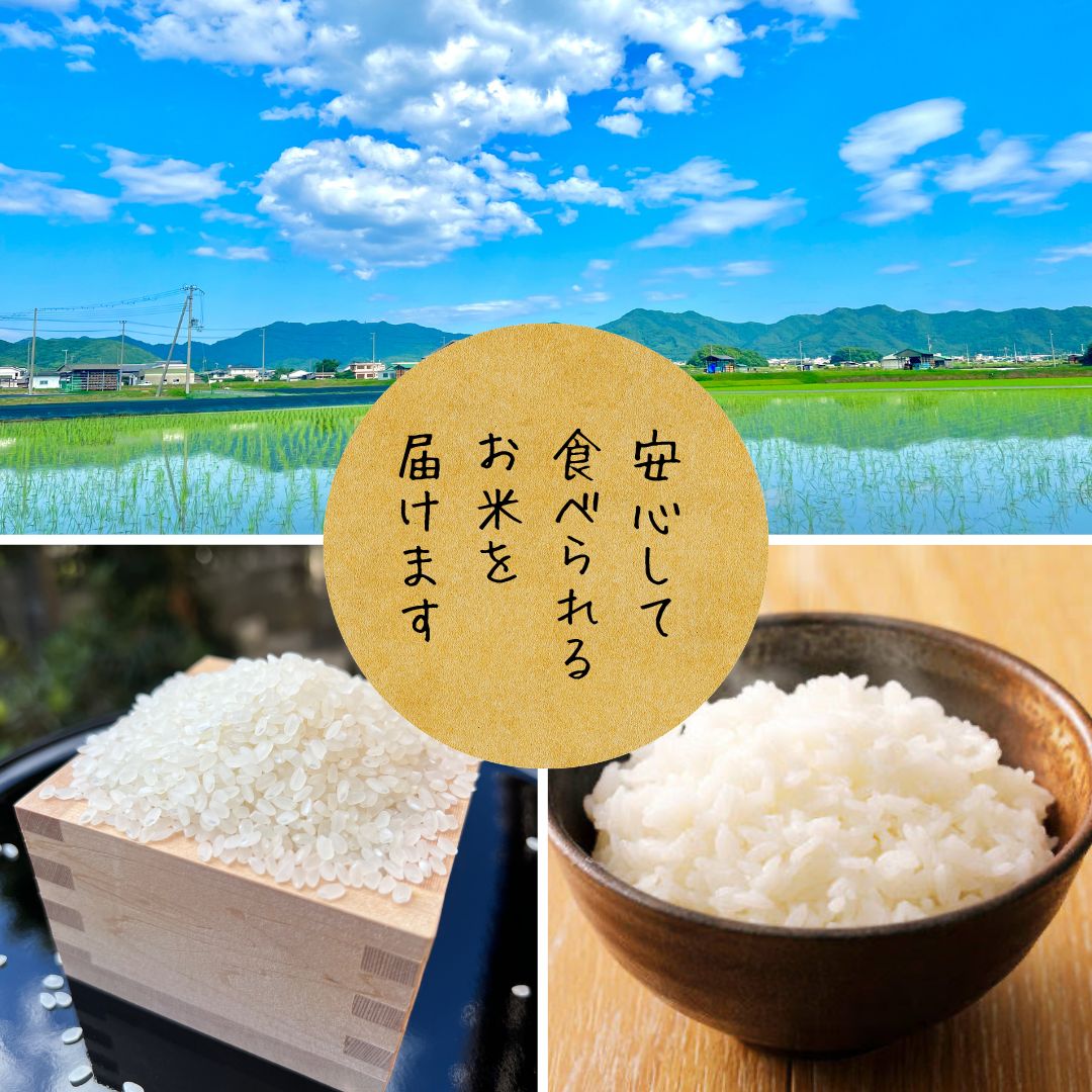 令和7年産 新米ヒノヒカリ 玄米30kg 淡路島産 - メルカリ