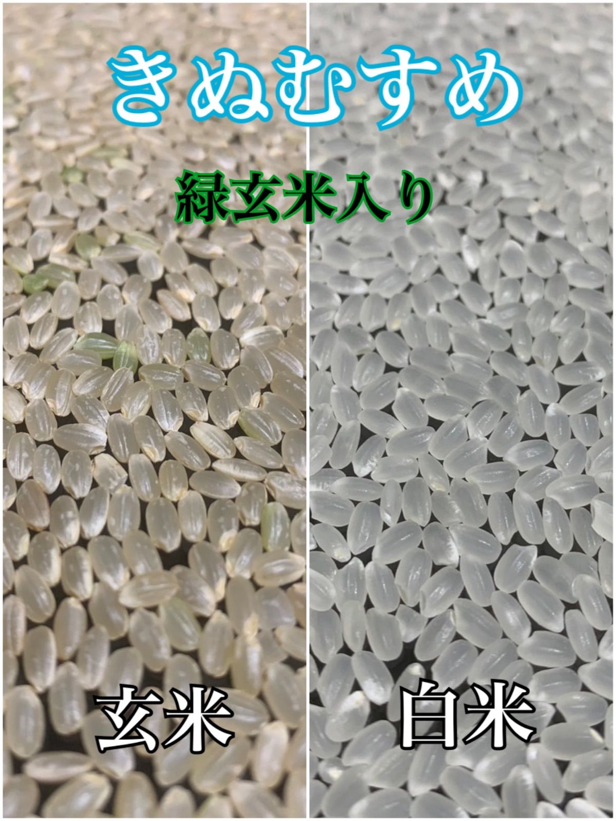 新米】令和7年産 きぬむすめ玄米30kg 淡路島産 - メルカリ