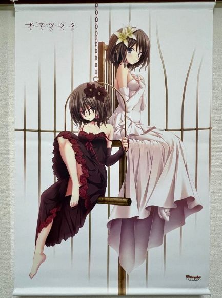 中国限定 アマツツミ 水無月ほたる B2タペストリー 旧作 - メルカリ