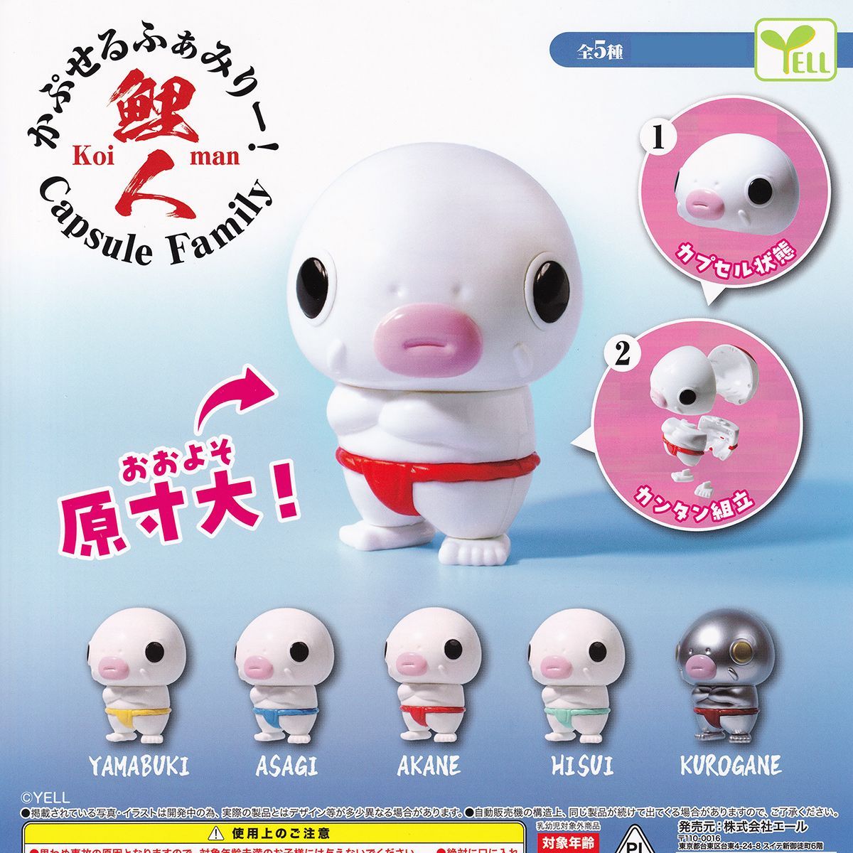 かぷせるふぁみりー！ 鯉人 エール 【全5種セット(フルコンプ