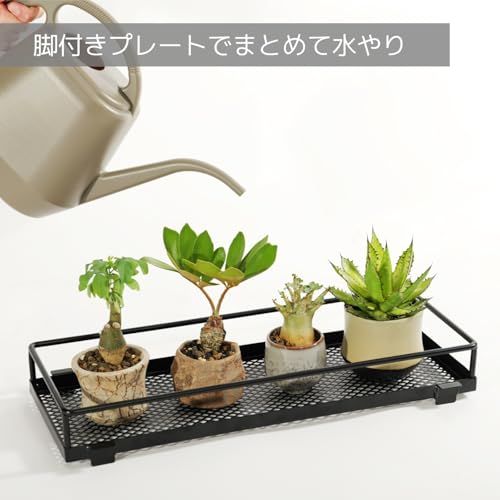  迅速に発送 窓ぎわプランタースタンド 窓サッシに簡単取付 浮かせる 植物棚 カゴを取り外して水やりができる 観葉植物 プランターハンガー 多肉植物 植木鉢 室内 棚 フラワースタンド ラック 花架 花台 LPA-600-BK 01279 f 18 その他 キッチン 食器