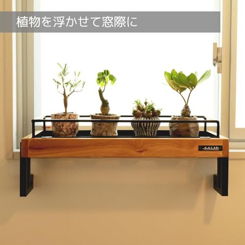 カゴを取り外して水やりができる 観葉植物