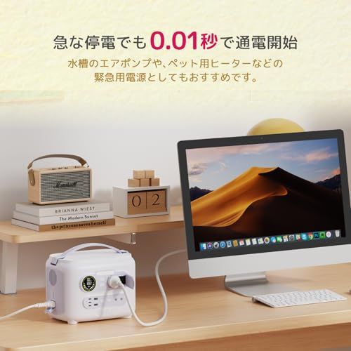 リン酸鉄リチウムイオン電池使用