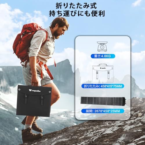 W 太陽光パネル