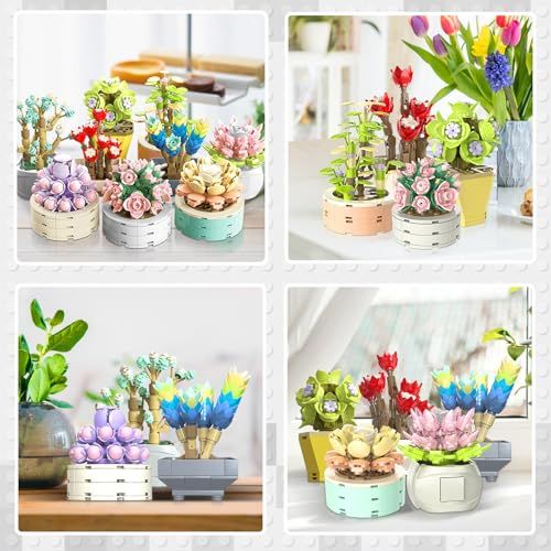  迅速に発送 JMBricklayer 花多肉植物ビルディングブロックセット 大人用 20104 植物コレクション 小さな植物ビルディングブロック 部屋 ホームオフィスの装飾用 花盆栽モデル 女の子 女性への花のギフトアイデア 9111 d 34 a その他 キッチン 食器