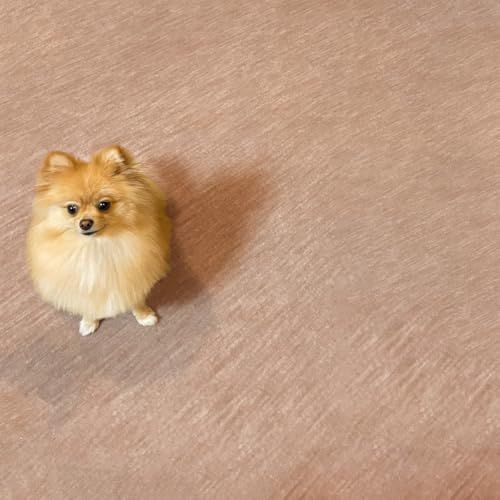 迅速に発送 辻川産業 ペット対応 カーペット 犬 猫 ビオラ 江戸間 4 5畳 261 cm ベージュ 日本製 630 df 1 b