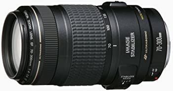 Canon キャノン 望遠ズームレンズ EF70-300mm F4-5.6 IS USM フル 