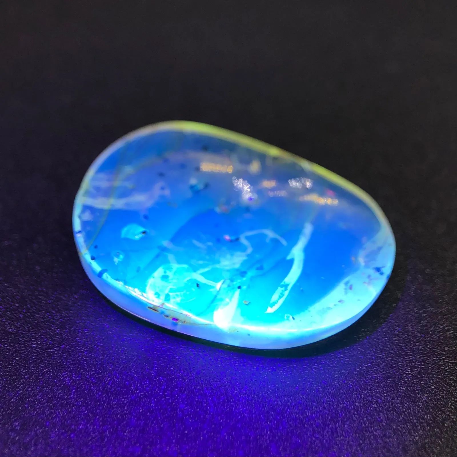 希少・お買い得] 天然 非加熱 虫入り琥珀 サソリ 化石 バーマイト 4.35