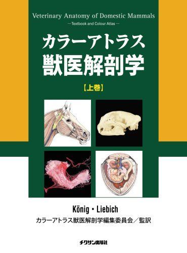 カラーアトラス獣医解剖学 上巻 - メルカリ