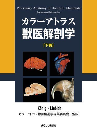 カラーアトラス獣医解剖学 上下巻 カラーアトラス獣医解剖学 (下巻) - メルカリ
