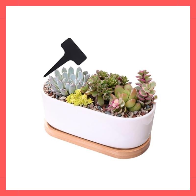 ☆注目商品☆VIVIJOIE 植木鉢 陶器 小さい 多肉植物 鉢 陶器 受け皿