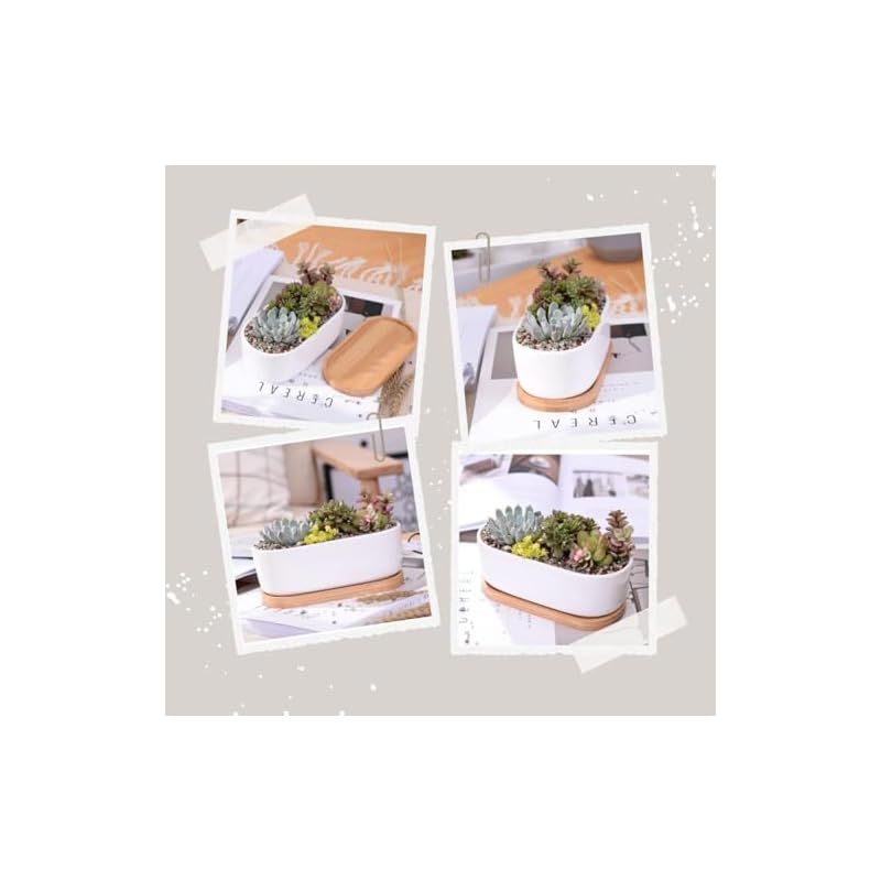 ☆注目商品☆VIVIJOIE 植木鉢 陶器 小さい 多肉植物 鉢 陶器 受け皿