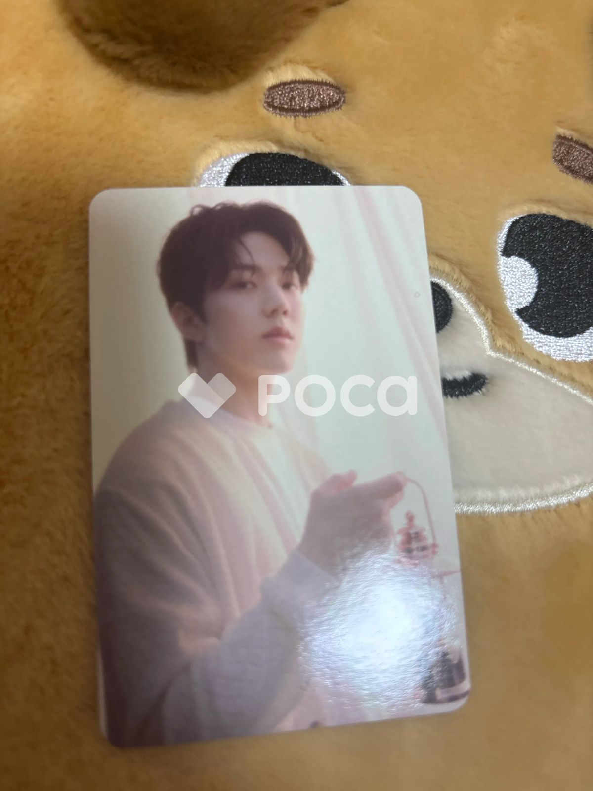 DAY6 ドウン DAY6 4TH FANMEETING [PIER 10: All My Days] トレカ