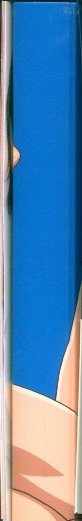  アニメDVD マーメイドメロディー ぴちぴちピッチ ピュア DVD-BOX 1 アニメ DVD