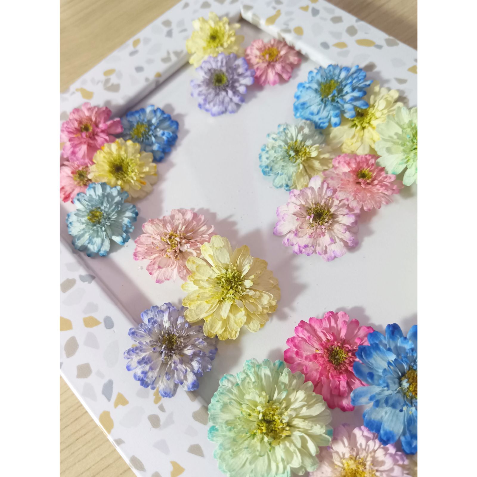 マトリカリア ドライフラワー - メルカリ