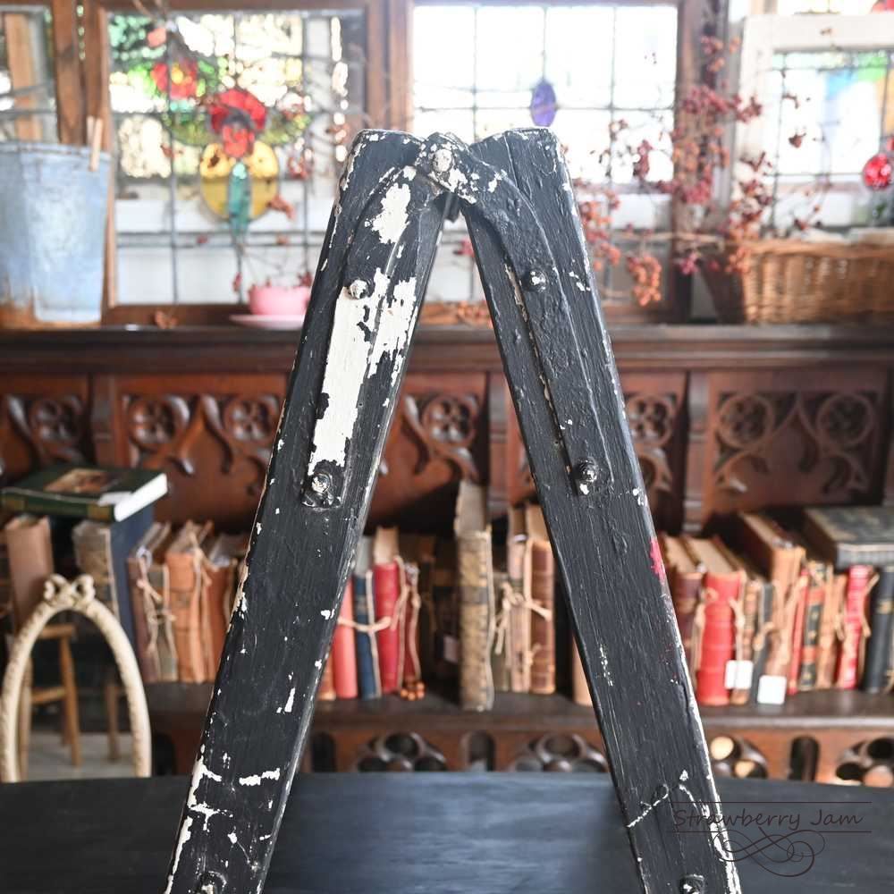 L3710-105 英国アンティーク ラダー ステップラダー プランター