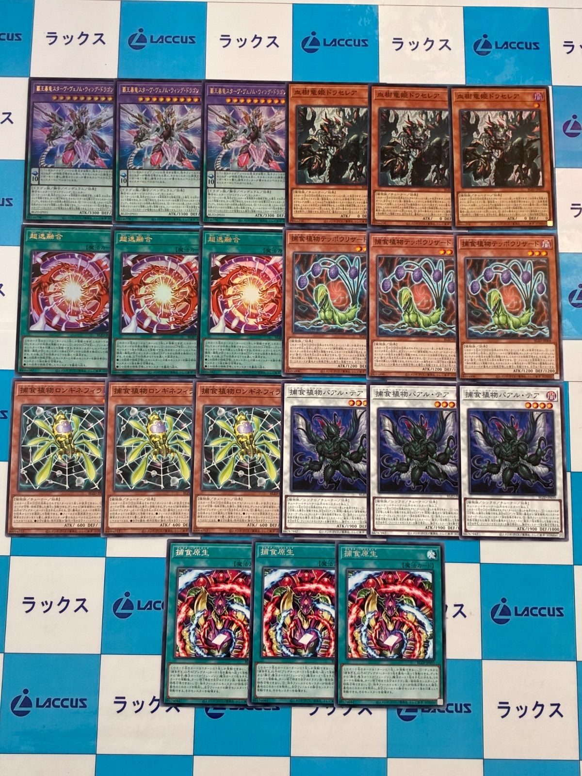 遊戯王 ブレイジングドミニオン 捕食植物/プレデタープランツ 3コン