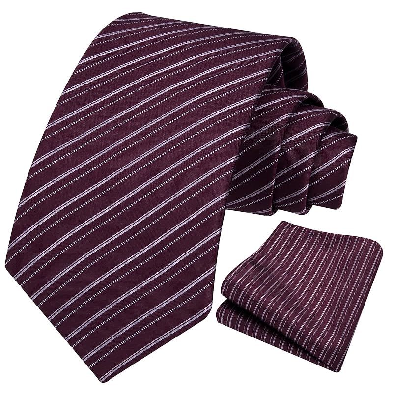 HISDERN] メンズ ネクタイ セット ビジネス - ネクタイ ブランド